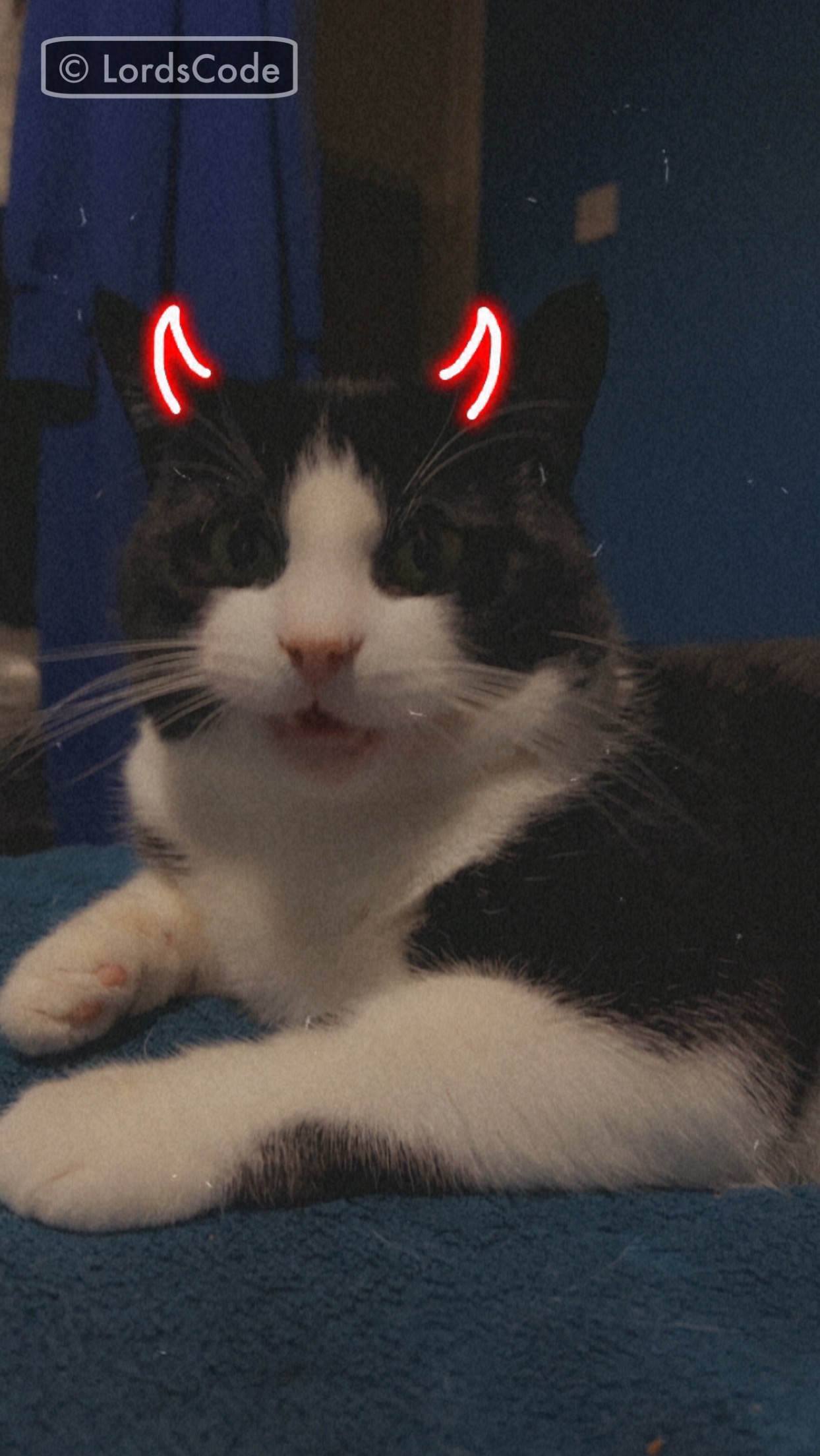 Devil Tucker.jpeg